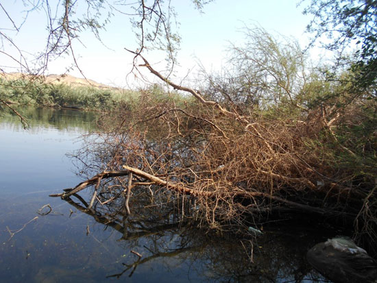 Photo of أهم الأنشطة في محمية سالوجا وغزال